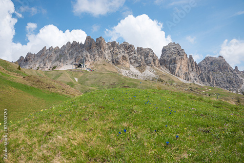 Meadow with gentian and alpine pasque flowers. View of the Cirspitzen South Tyrol
