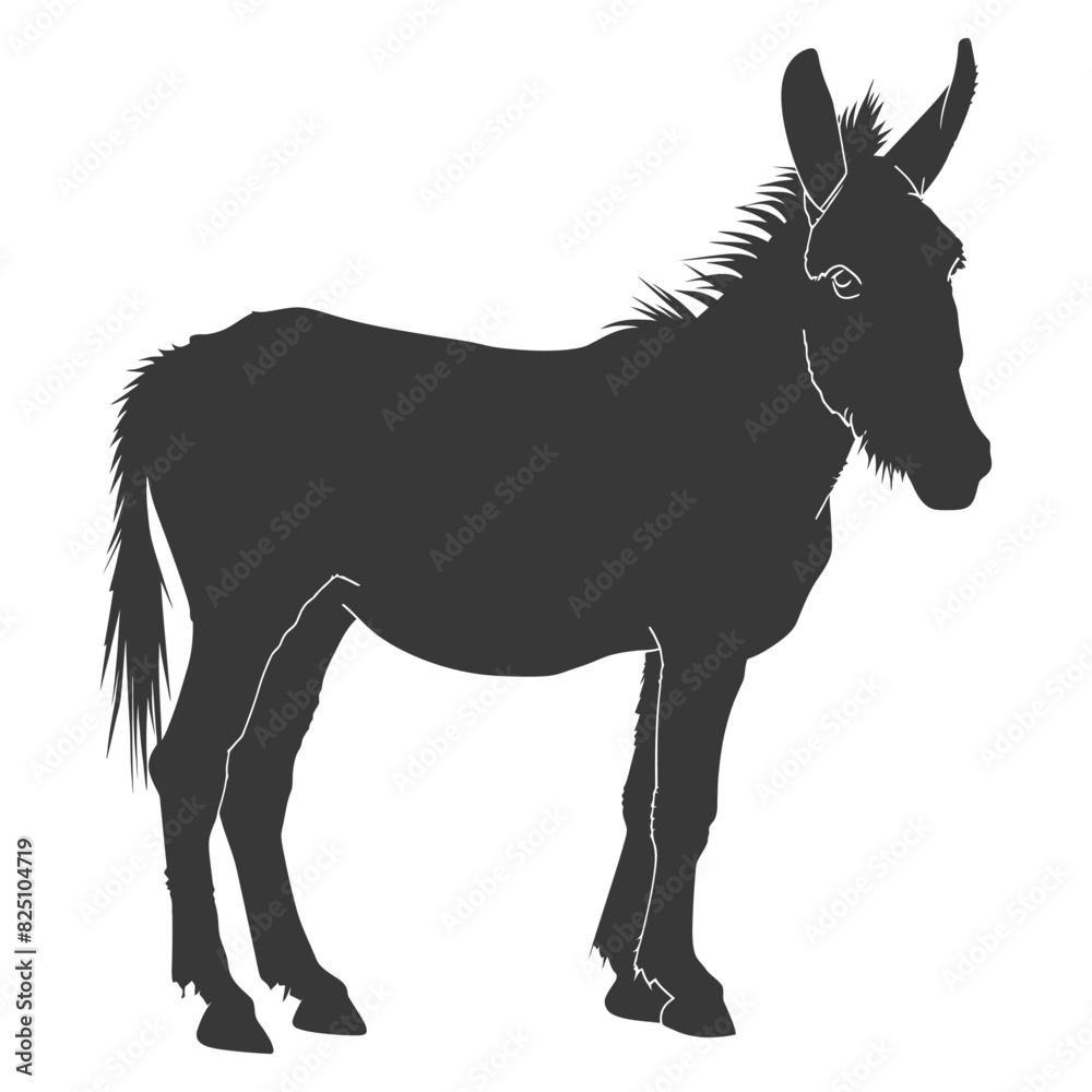 Silhouette donkey animal black color only Silhouette donkey animal black color only