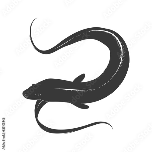 Silhouette eel animal black color only