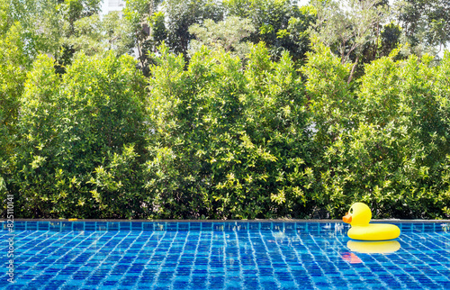 Floating yellow dug bubble on pool in summer day at home for banner size
