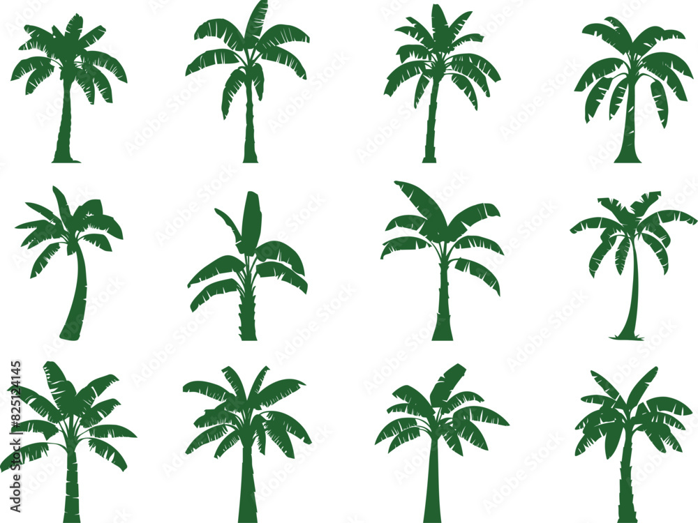 banana palm tree in a collection of simple vector stencil designs
