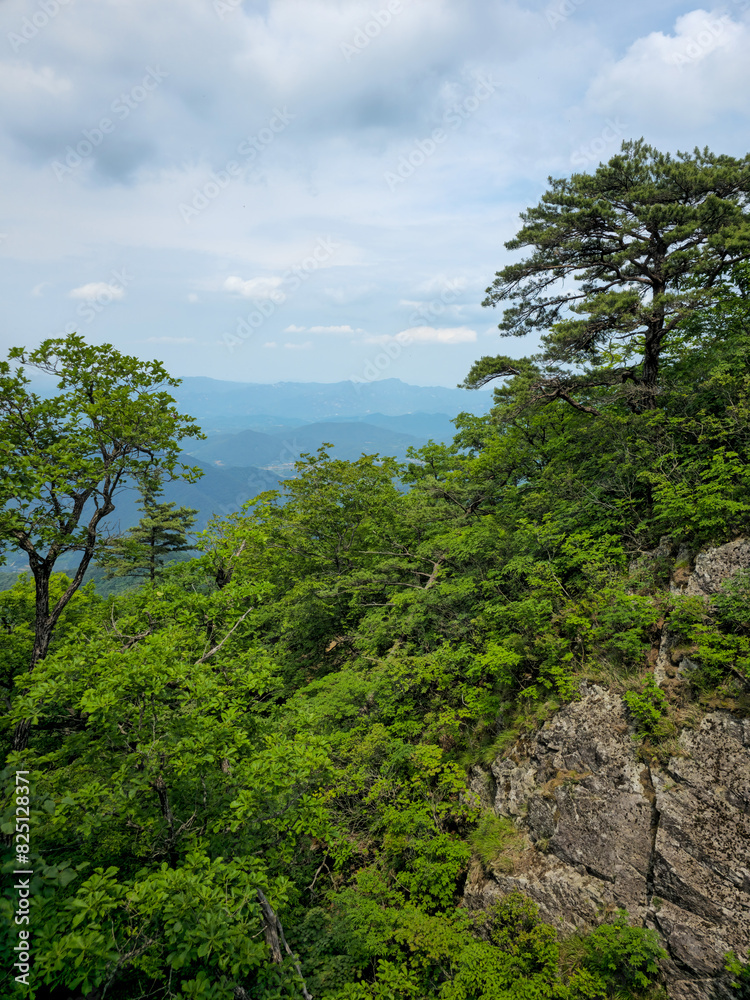 Obraz premium A mountain range is visible in the distance, with a lush green forest below. The sky is cloudy, but the trees are still green and vibrant. Concept of tranquility and natural beauty