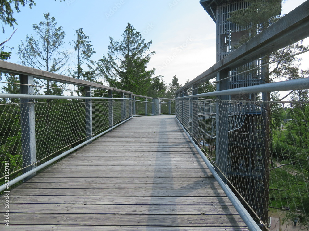 Obraz premium Baumwipfelpfad