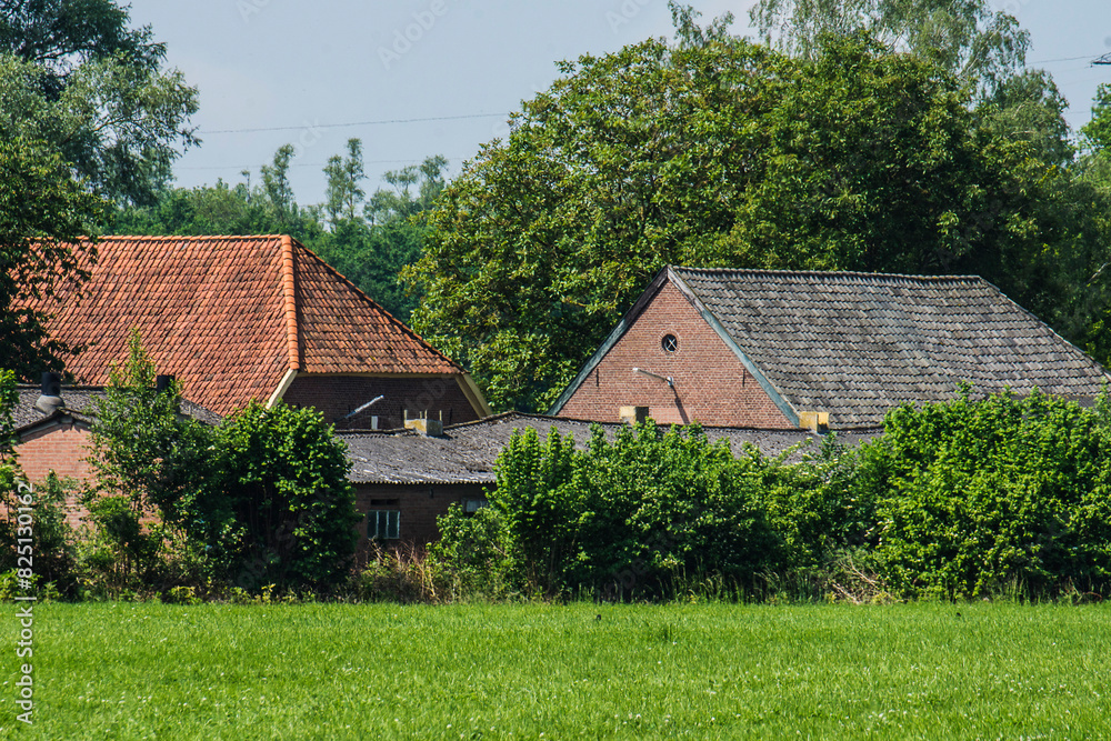 landscape with roofs of barns near farm in summer