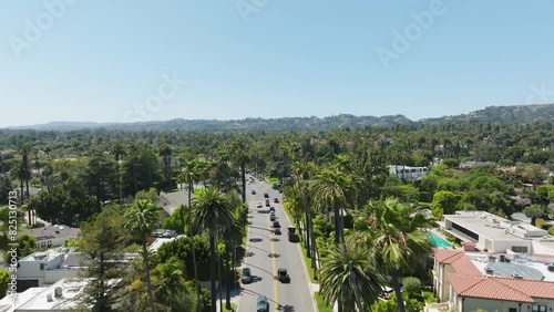 Beverly Hills Aerial 2024 - Flying low between palm trees and road #2