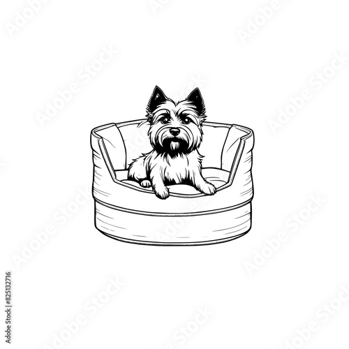 A cartoon cairn terrier in a dog bed coloring page generative ai