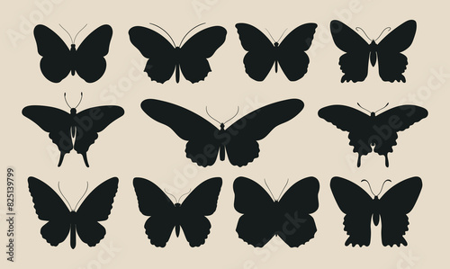 Set of silhouettes of butterflies of different shapes. 