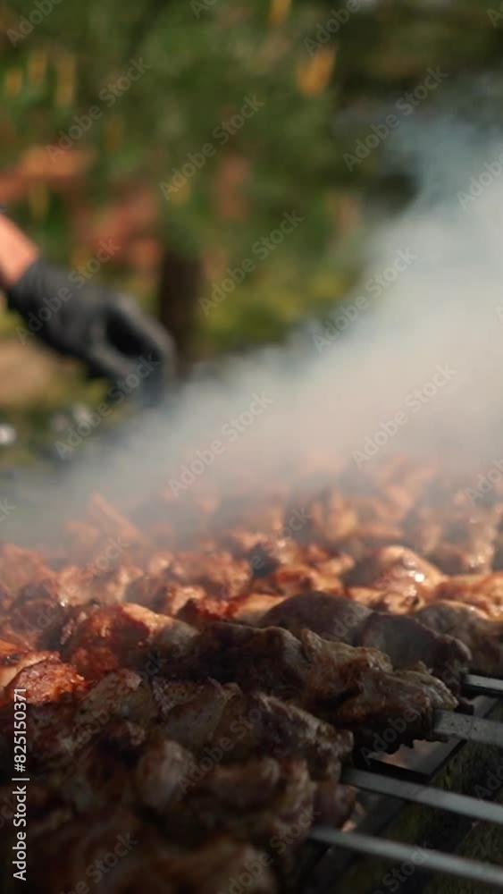 Delicious appetizing steak meat is fried outside on fire and smoke. Shish kebab on the grill on a summer vacation in nature with friends. Barbecue grill with smoke on coals Delicious appetizing steak meat is fried outside on fire and smoke. Shish kebab on the grill on a summer vacation in nature with friends. Barbecue grill with smoke on coals