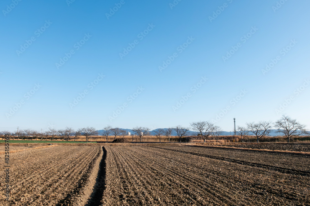 冬の広大な田畑の風景　農耕の準備　土が直線で連なる　滋賀県草津市　