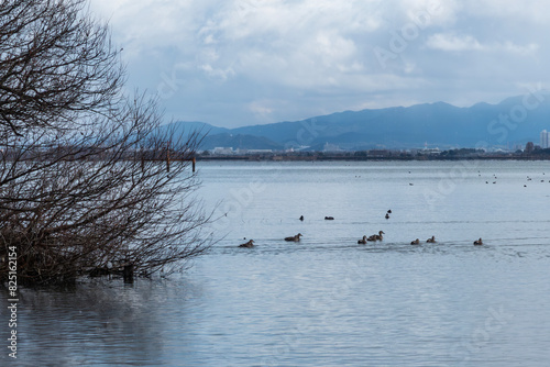 冬の琵琶湖の風景 