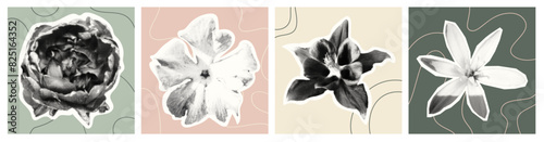 A set of four stylized halftone texrured flower posters in monochrome with abstract pastel backgrounds. Perfect for modern and minimalist decor.