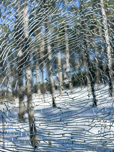 Forest through cracked broken glass