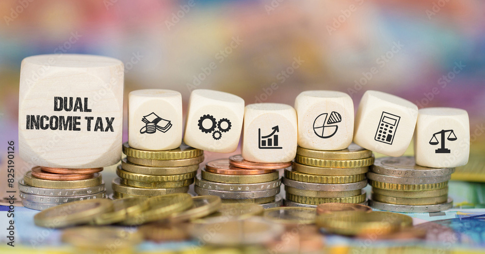 Dual Income Tax	
