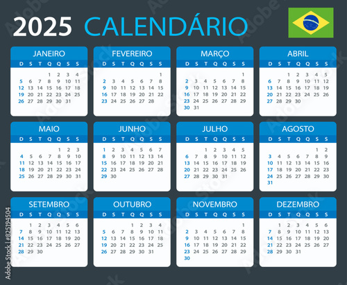 2025 Calendar Brazil - vector template graphic illustration - Brazilian version