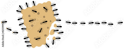 Black ants eating cracker on a white background, vector illustration.
