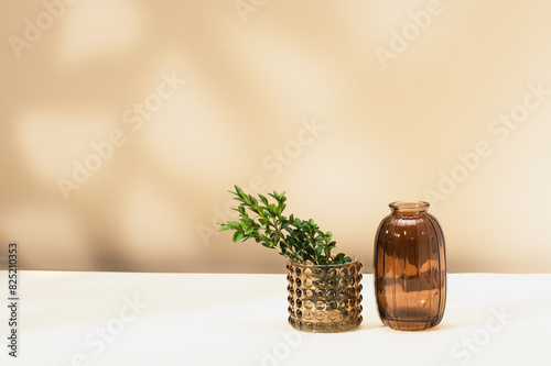 Two brown glass vases and a boxwood branch. Product presentation with copy space.