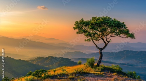 A lone tree standing sentinel on a hilltop  overlooking a breathtaking panorama of a mountain sunset.