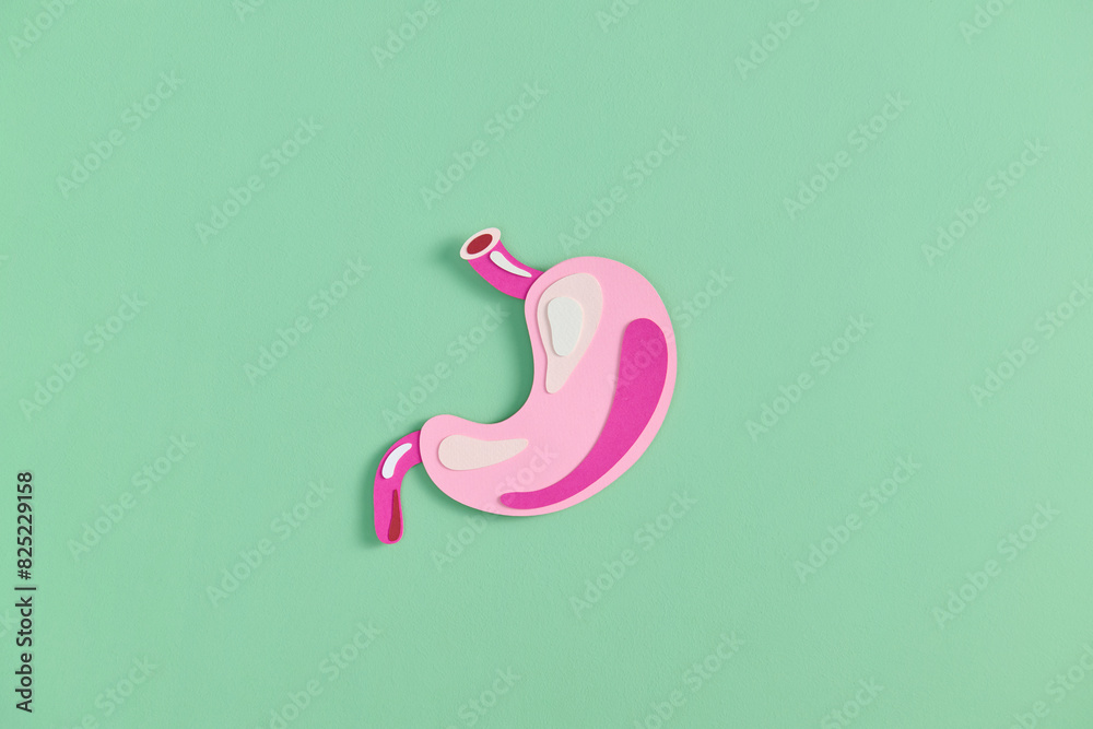 Paper craft of the human stomach on green background for health Paper craft of the human stomach on green background for health