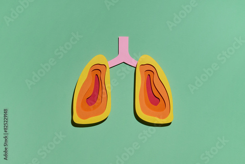 Layered colorful lung organs for medicine, pneumonia disease photo
