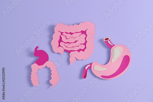 Human stomach, simple medical illustration, paper design photo