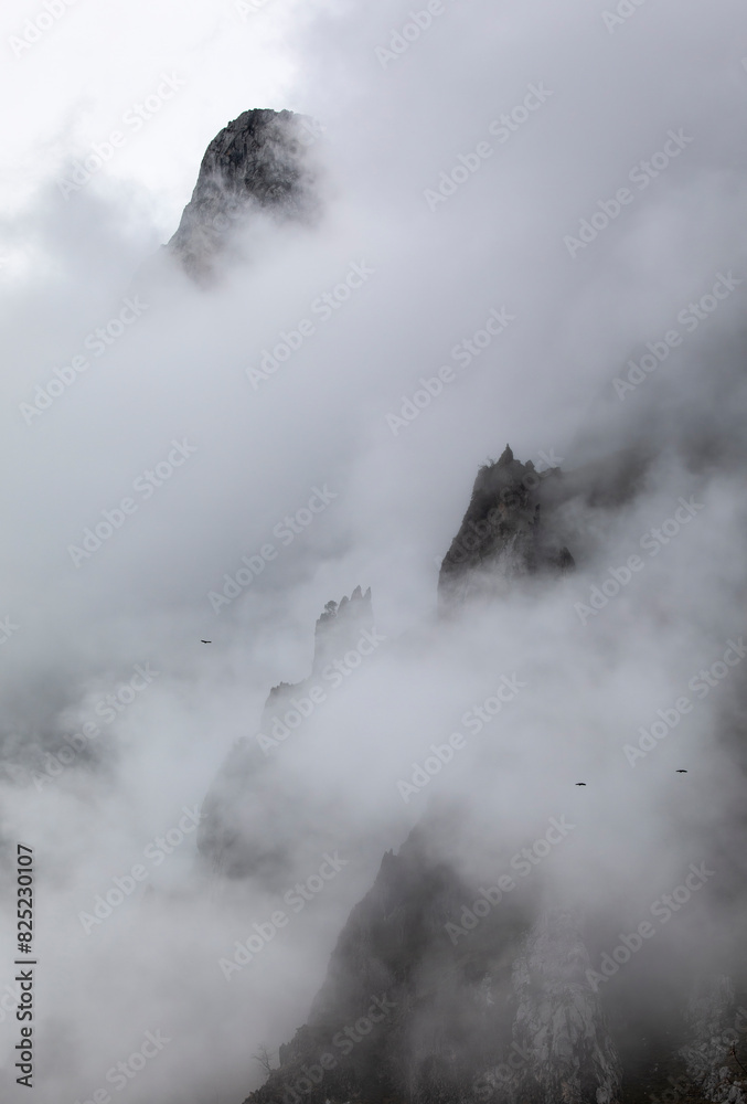 Mist shrouded mountain tops. Mist shrouded mountain tops.