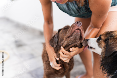 Woman caressing her dogs photo