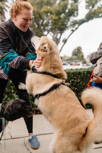 Dog Foster Volunteer