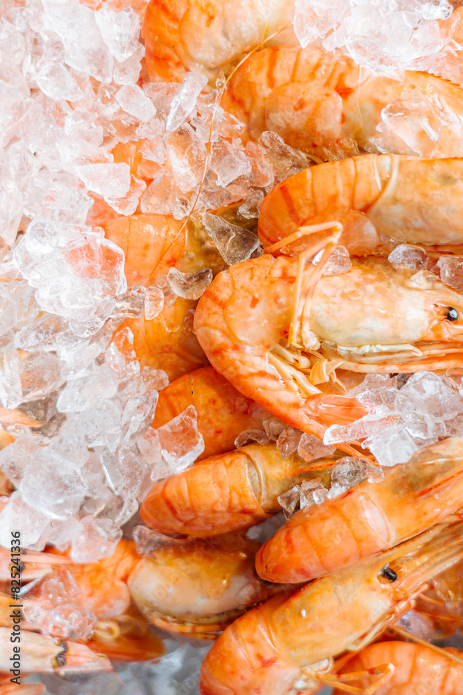 Close Up of shrimp on Ice Close Up of shrimp on Ice