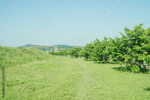 綺麗な草原の風景