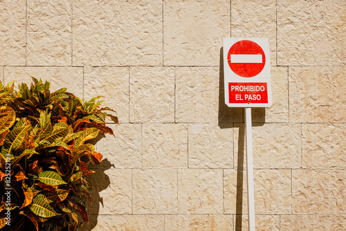 No entry sign beside a plant against a beige wall