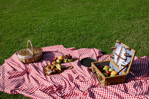 Sunny day picnic setup on checkered blanket in park photo