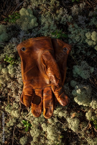 Vintage brown leather gloves on forest moss