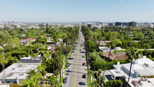 Beverly Hills Aerial 2024 - Flying low between palm trees and road #4