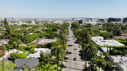 Beverly Hills Aerial 2024 - Flying low between palm trees and road #5