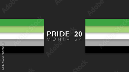 Happy Pride Month Aromantic Pride Flag Horizontal Wall Background