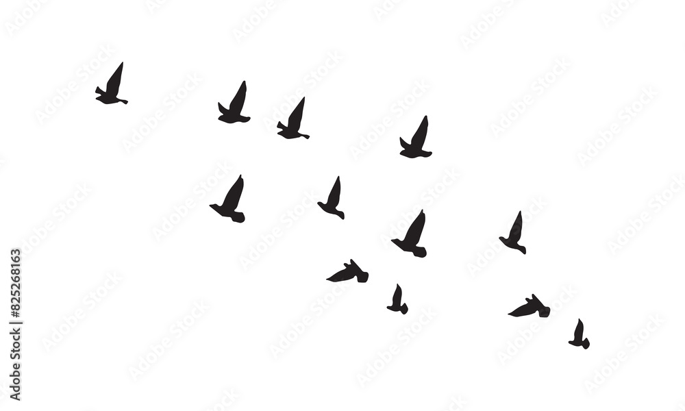 Flying Birds Vector And Illustration. Flying Birds Vector And Illustration.