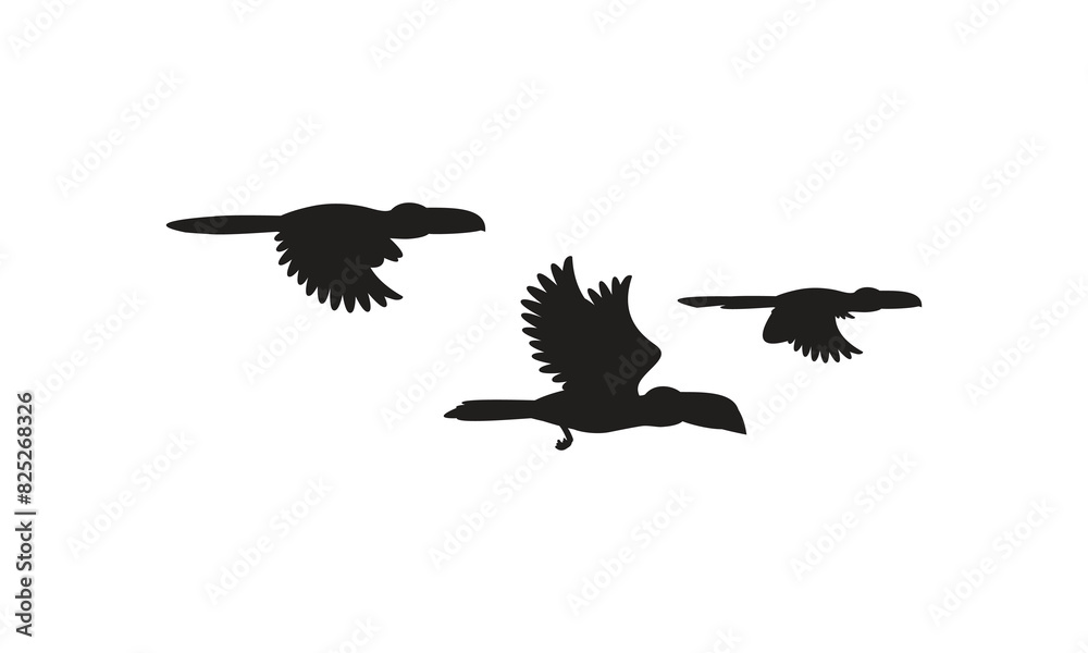 Obraz premium Flying Birds Vector And Illustration. 