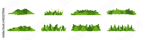 bush grassss
