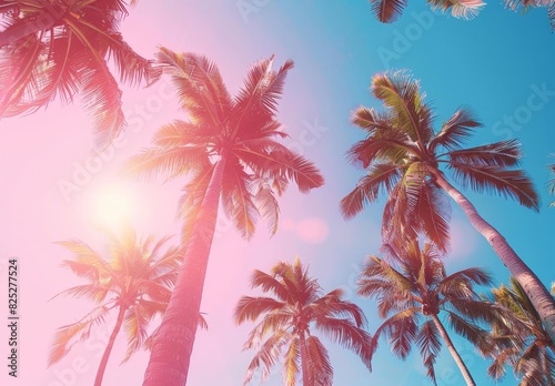 Dreamy Sunset with Palm Trees in Pastel Colors