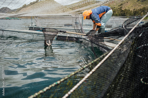 worker in a fish farm photo