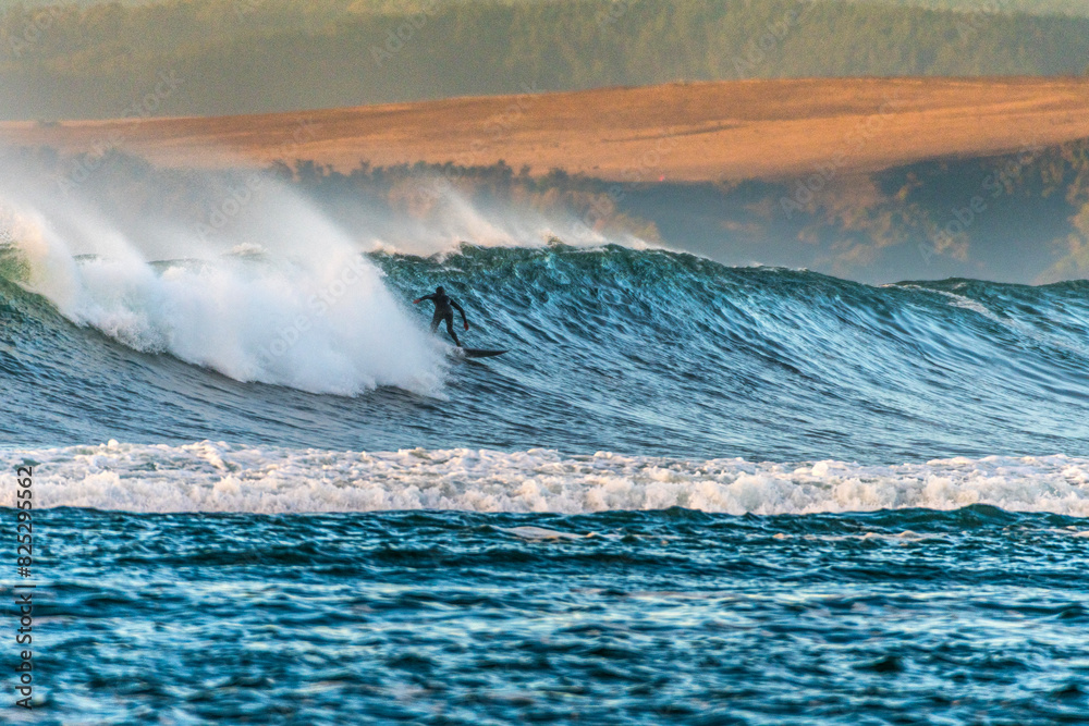 Naklejka premium Surf