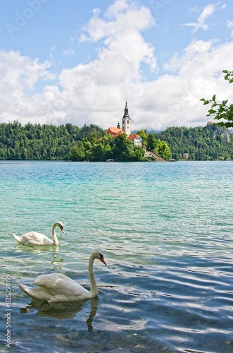 Church on Lake Bled with floating swans in Slovenia
