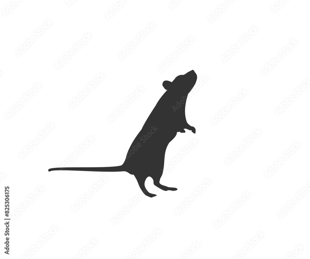 Rat silhouette isolated icon. Vector illustration. Rat silhouette isolated icon. Vector illustration.