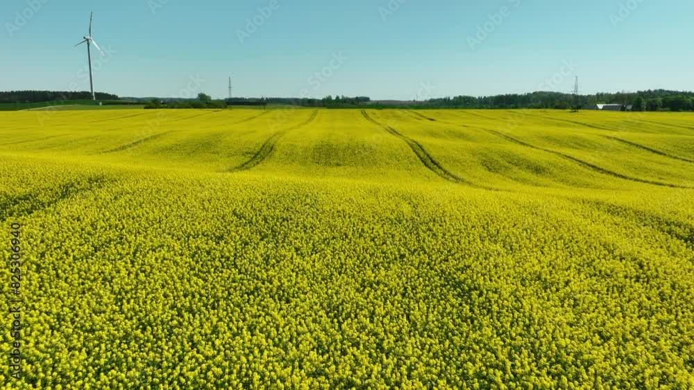 A close aerial shot of a rapeseed field in full bloom, with a wind turbine in the distance. The field's vibrant yellow contrasts with the clear blue sky, showcasing the beauty of rural landscapes A close aerial shot of a rapeseed field in full bloom, with a wind turbine in the distance. The field's vibrant yellow contrasts with the clear blue sky, showcasing the beauty of rural landscapes