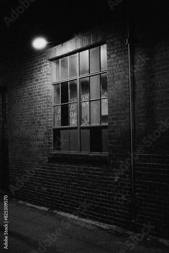 Odd Window in an alley photo