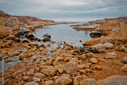 Rocky Shore of Ocean Cove at Low Tide