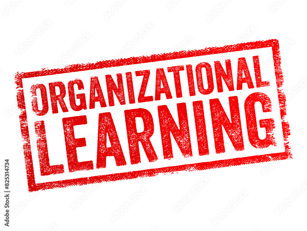 Organizational Learning is the process of creating, retaining, and