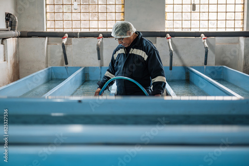 Man at Work in a fish Hatchery Laboratory photo