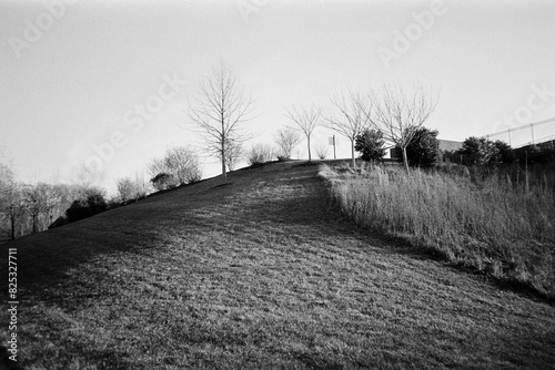 Edge of a landscaped mound