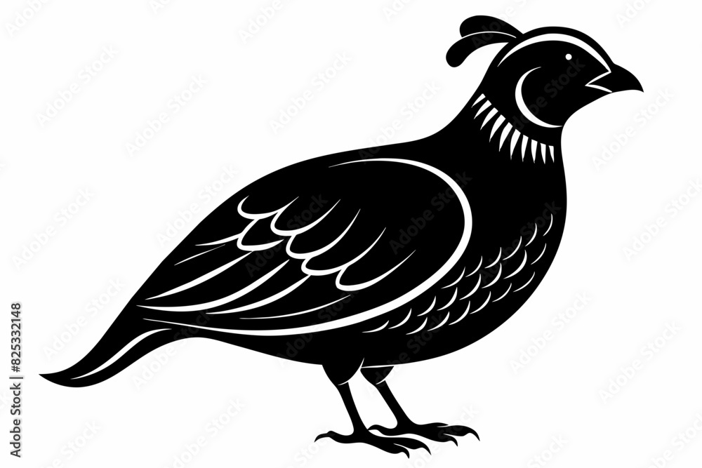 A beautiful quail bird silhouette black vector artwork illustration A beautiful quail bird silhouette black vector artwork illustration